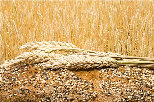 kết quả xổ số long an