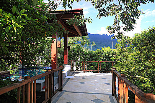 soi cầu dự đoán