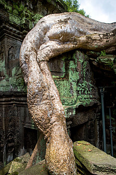 2888 soi cau