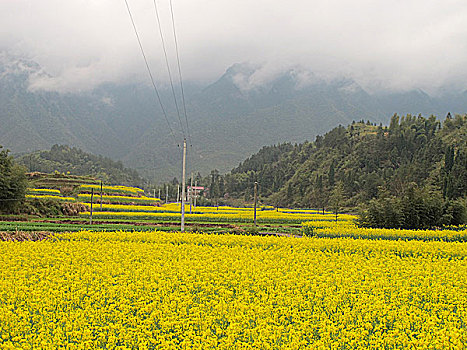 soi cau du doan xsmb