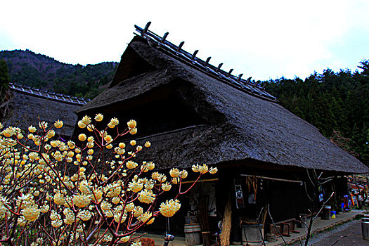 miền bắc thứ tư