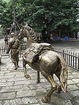 soi cau net 247