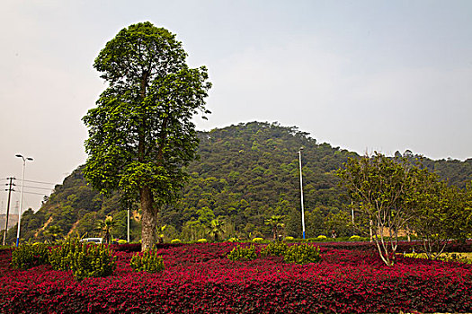 cách chơi đề miền bắc