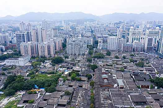 soi cau mo bi