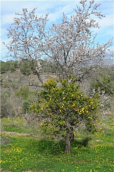 xôsomiennam