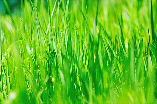 xổ số thứ hai tuần rồi