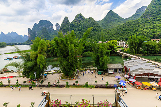 bạch thủ lô miền bắc