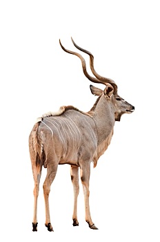 xsmn thu 4