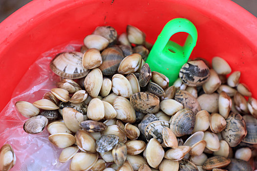 cách đánh số đề bao lô