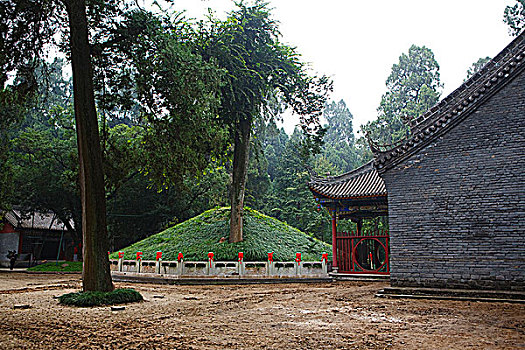 bạch thủ đề mb