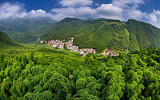 soi cau bach kim