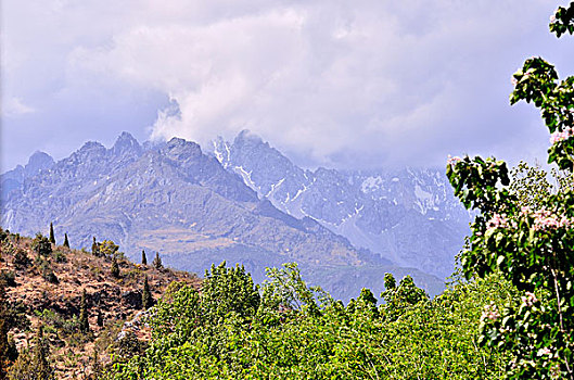 cau lo rong bach kim