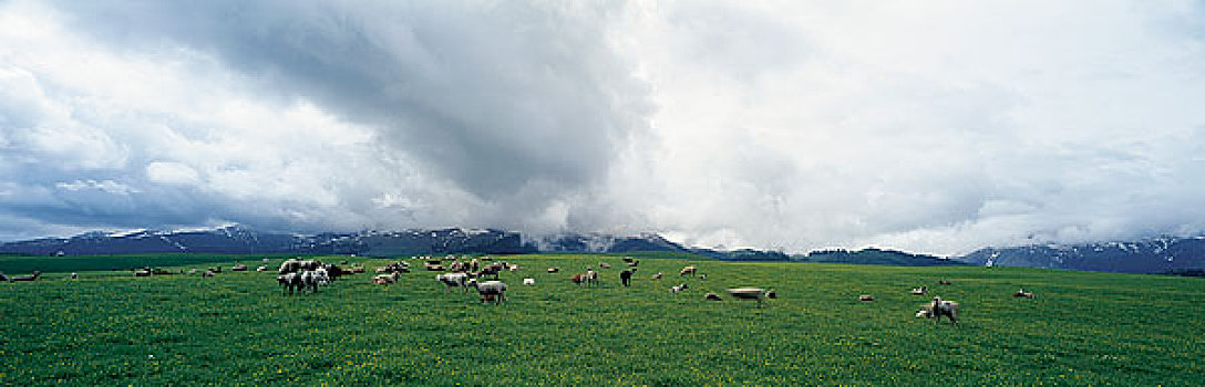 du doan xsmb trung nam