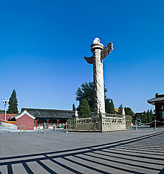 soi cau mjsa