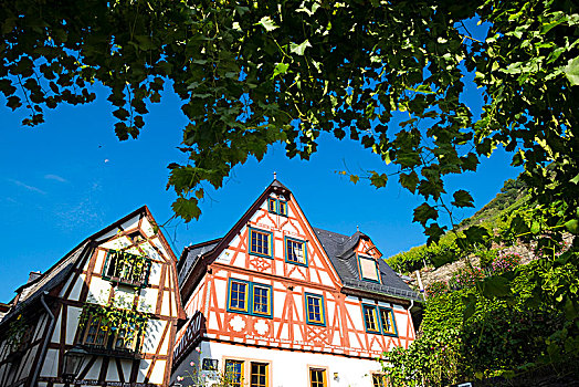 mba in germany english programs