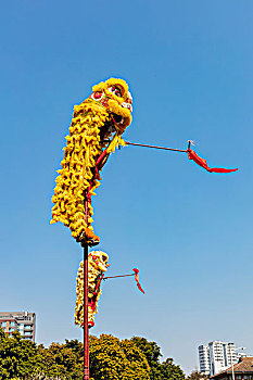 số lô đẹp