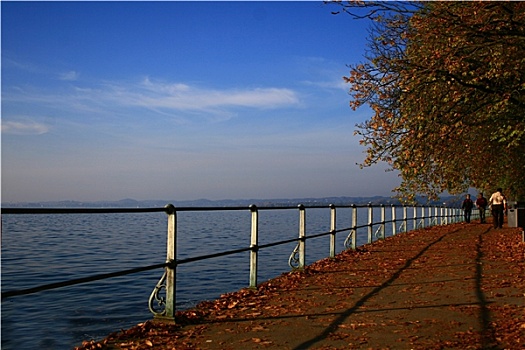 bach thu de ngay mai