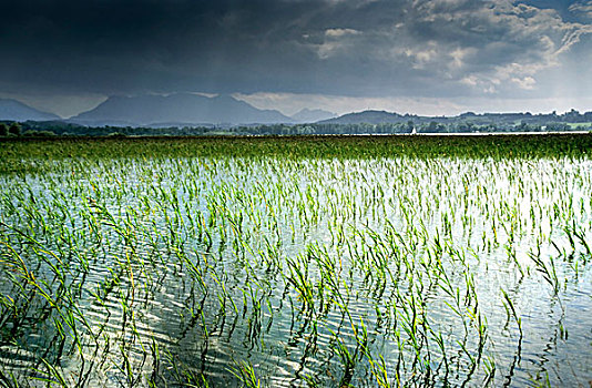 số cần thơ