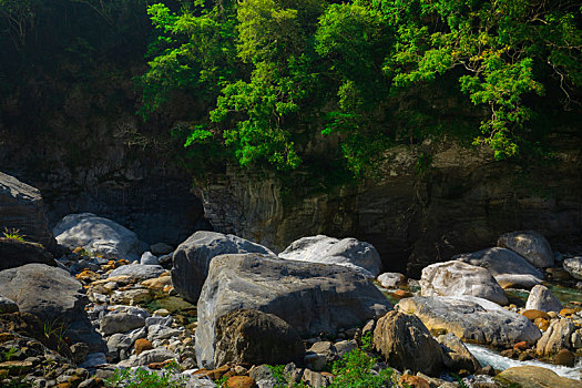 bach thu ngay mai