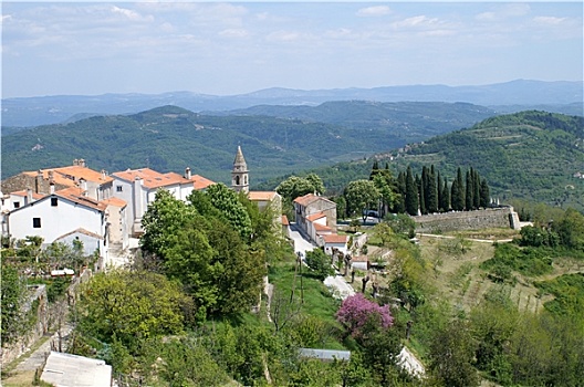 soi câu 247